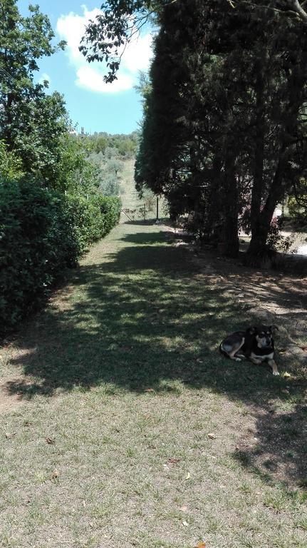 Agriturismo San Lino-Gilberto Massa Marittima Zewnętrze zdjęcie