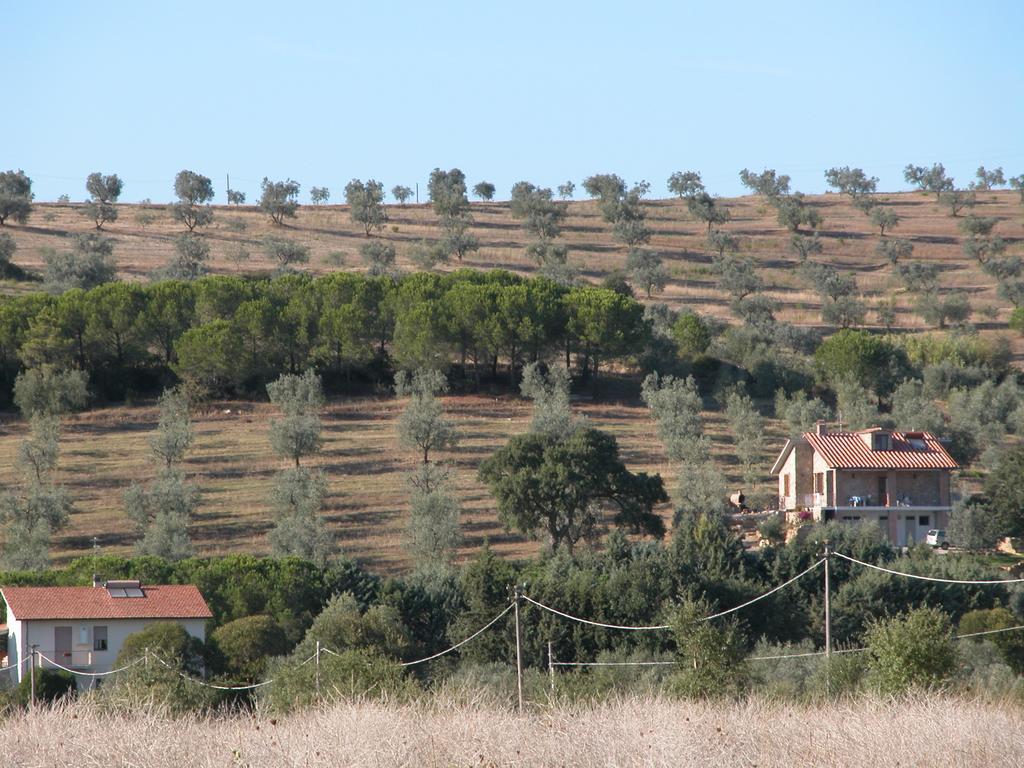 Agriturismo San Lino-Gilberto Massa Marittima Zewnętrze zdjęcie