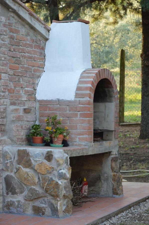 Agriturismo San Lino-Gilberto Massa Marittima Zewnętrze zdjęcie